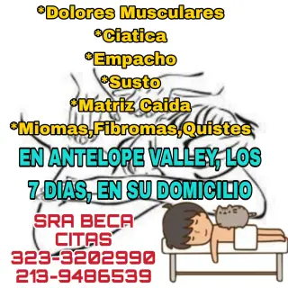 SOBADORA MUSCULAR. * NO MASAJISTA*