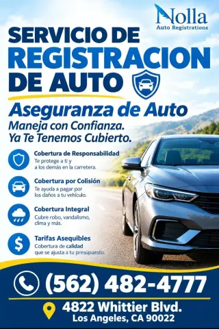 Servicios de Registro de Autos