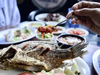 ¡ESTAMOS CONTRATANDO – COCINERO CON EXPERIENCIA!