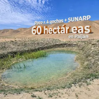 Terreno agrícola en venta – Paiján, La Libertad