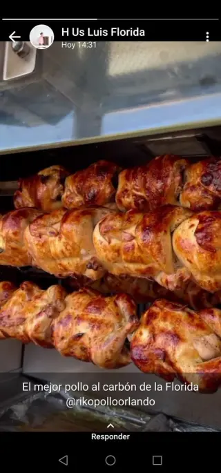 HORNO POLLO BRASA " ECOLOGICO "