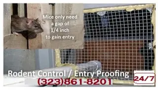 EXTERMINADORES LOS ANGELES