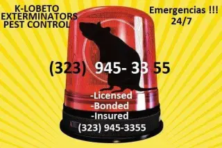Control Ratones y Reparaciones
