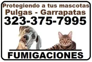FUMIGACIONES - CASA RESIDENCIAL