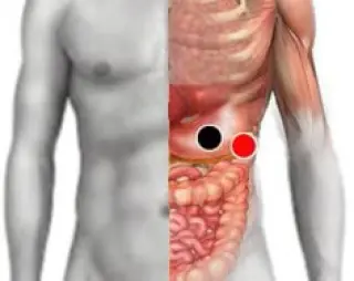 BIOMAGNETISMO TERAPIA DOLORES