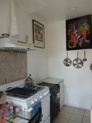 Se comparte single apt solo con mujer