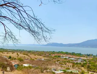 Rancho Alegre 9