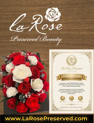 WholeSale Eternal Roses Supplier Exporters Ecuador Premium Preserved Roses