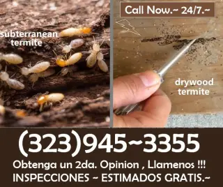 EXTERMINADORES CERCA DE USTED ~ LLAMENOS HOY .-