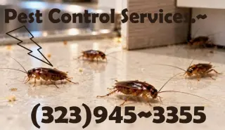 FUMIGACIONES 24/7 LOS ANGELES COUNTY
