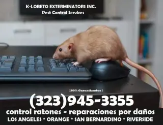Control Ratones y Reparaciones