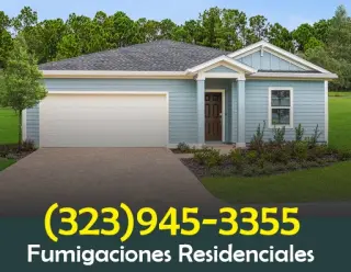 FUMIGACIONES TERMITAS - HUNTINGTON PARK