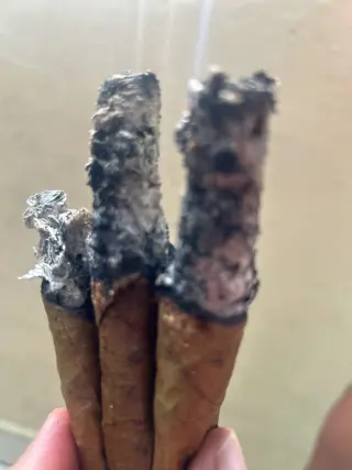 Lectura de Tabaco Ancestral