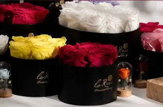 Rosas Preservadas Ecuador Infinity Blooms Flores Eternas
