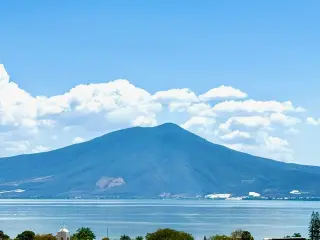 Vista Única