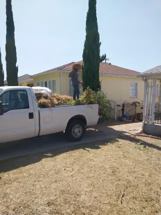 ET junk removal