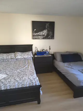 Compartir apartamento