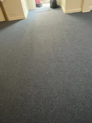 Carpet Installation Services