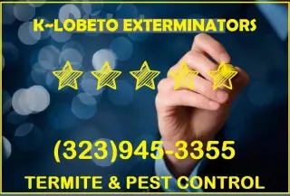 EXTERMINADORES PROFESIONALES LOS ANGELES