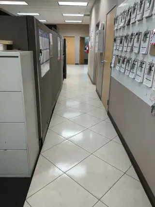Ofrezco mis servicios de limpieza 100% confiable.