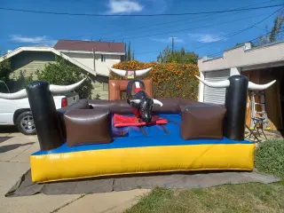 WATER SLIDES*TOROS MECANICOS*$330*