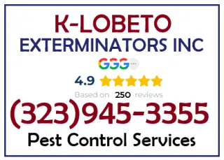 TERMITE HOME INSPECTOR EN SU AREA.-