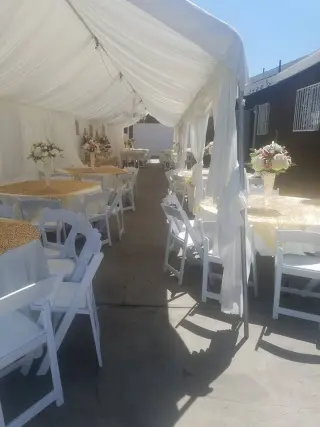 Sillas de resina