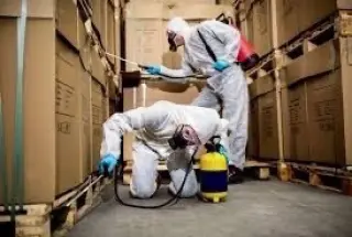 Exterminador de plogas100%
