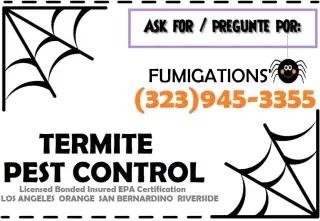 FUMIGACIONES 🦇 🎃 HALLOWEEN  🦇 🎃 24/7.~