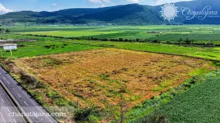 El Molino 1