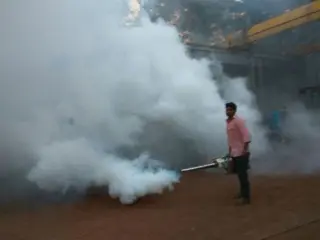 FUMIGACION 100% GARANTIZADA