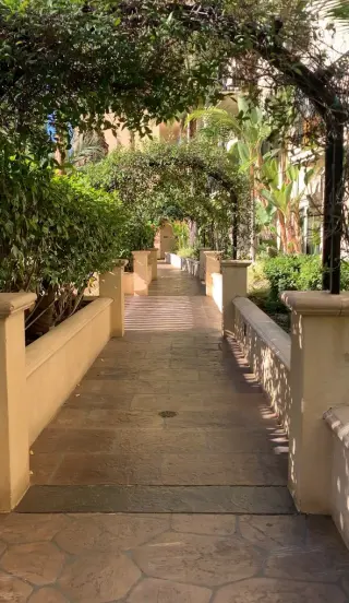 OPORTUNIDAD DE GRAN NEGOCIO