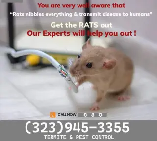 Control Ratones y Reparaciones
