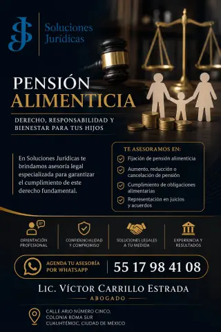 Juicio de Pensión Alimenticia - DESPACHO DE ABOGADOS EN MEXICO, Ciudad de México