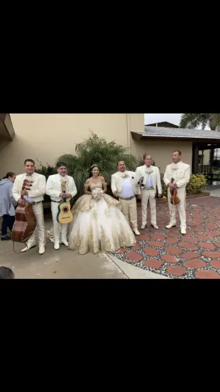 🎺🎺MARIACHI LOS POTRILLOS 🎻