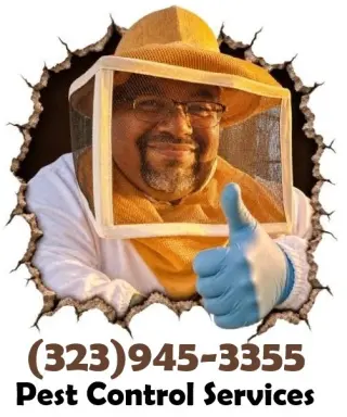 EXTERMINADORES LOS ANGELES Y AREAS CERCANAS.-