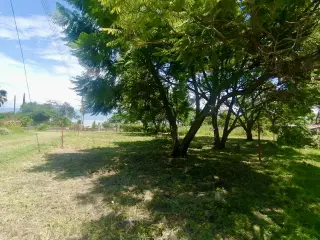 Puerto Corona