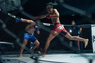 Clases de MMA, Muay Thai y No Gi