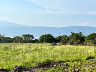 Great & Affordable, Lot B
