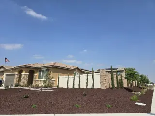 Professional Landscaping Services