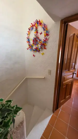 Una gran  oportunidad