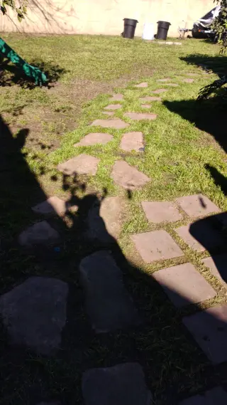 Corte de pasto limpieza con sopladora