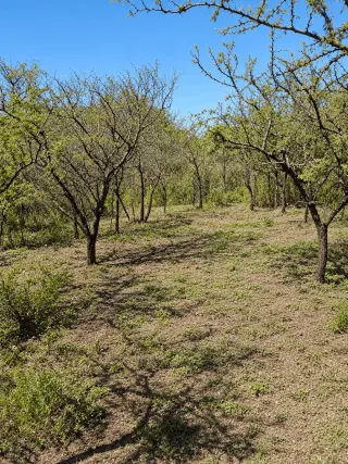 Terreno 343 m² con escritura en Salsipuedes – USD 9.600