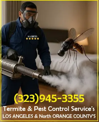 REMOVEMOS PANALES ABEJAS - AVISPAS 24/7.- FUMIGACIONES