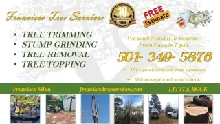 Francisco's Tree Services
