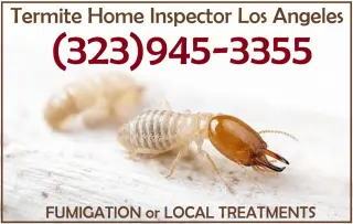 EXTERMINADORES TERMITAS LOS ANGELES Y OTRAS AREAS CERCANAS.-