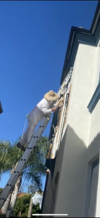 Servicios Profesionales de Pintura de Casas