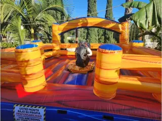 WATER SLIDE*S TOROS MECANICO*S