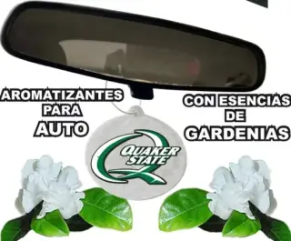 AMBIENTADORES DE AUTO PUBLICIT