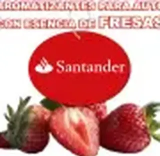 AMBIENTADORES DE AUTO PUBLICIT
